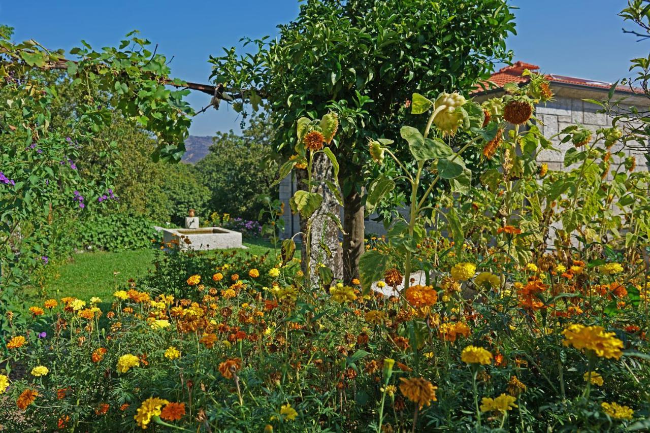 Casa Do Vale Guest House Фафе Екстериор снимка